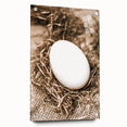 Farmhouse Wall Art: Rustic Egg in Straw Nest Country Décor