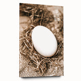 Farmhouse Wall Art: Rustic Egg in Straw Nest Country Décor