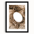 Farmhouse Wall Art: Rustic Egg in Straw Nest Country Décor