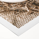 Farmhouse Wall Art: Rustic Egg in Straw Nest Country Décor