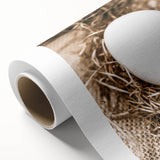 Farmhouse Wall Art: Rustic Egg in Straw Nest Country Décor