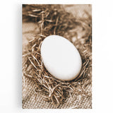 Farmhouse Wall Art: Rustic Egg in Straw Nest Country Décor