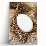 Farmhouse Wall Art: Rustic Egg in Straw Nest Country Décor
