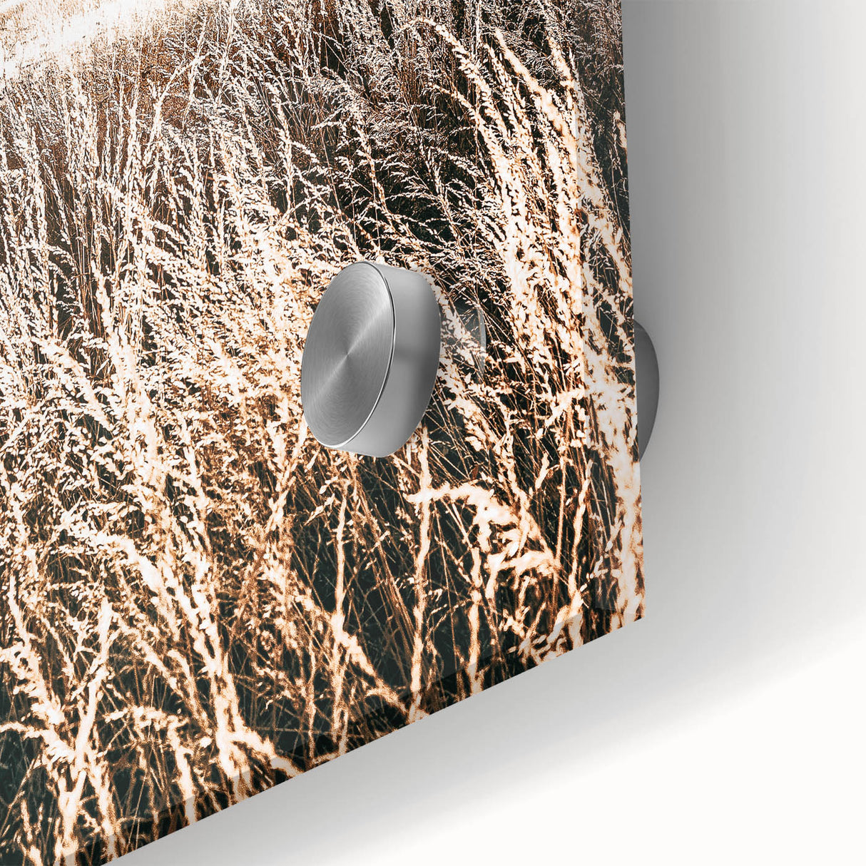 Farmhouse Wall Art: Golden Sunset Over Wheat Field Country Décor
