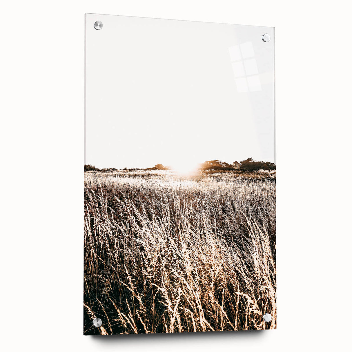 Farmhouse Wall Art: Golden Sunset Over Wheat Field Country Décor