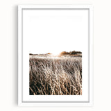 Farmhouse Wall Art: Golden Sunset Over Wheat Field Country Décor
