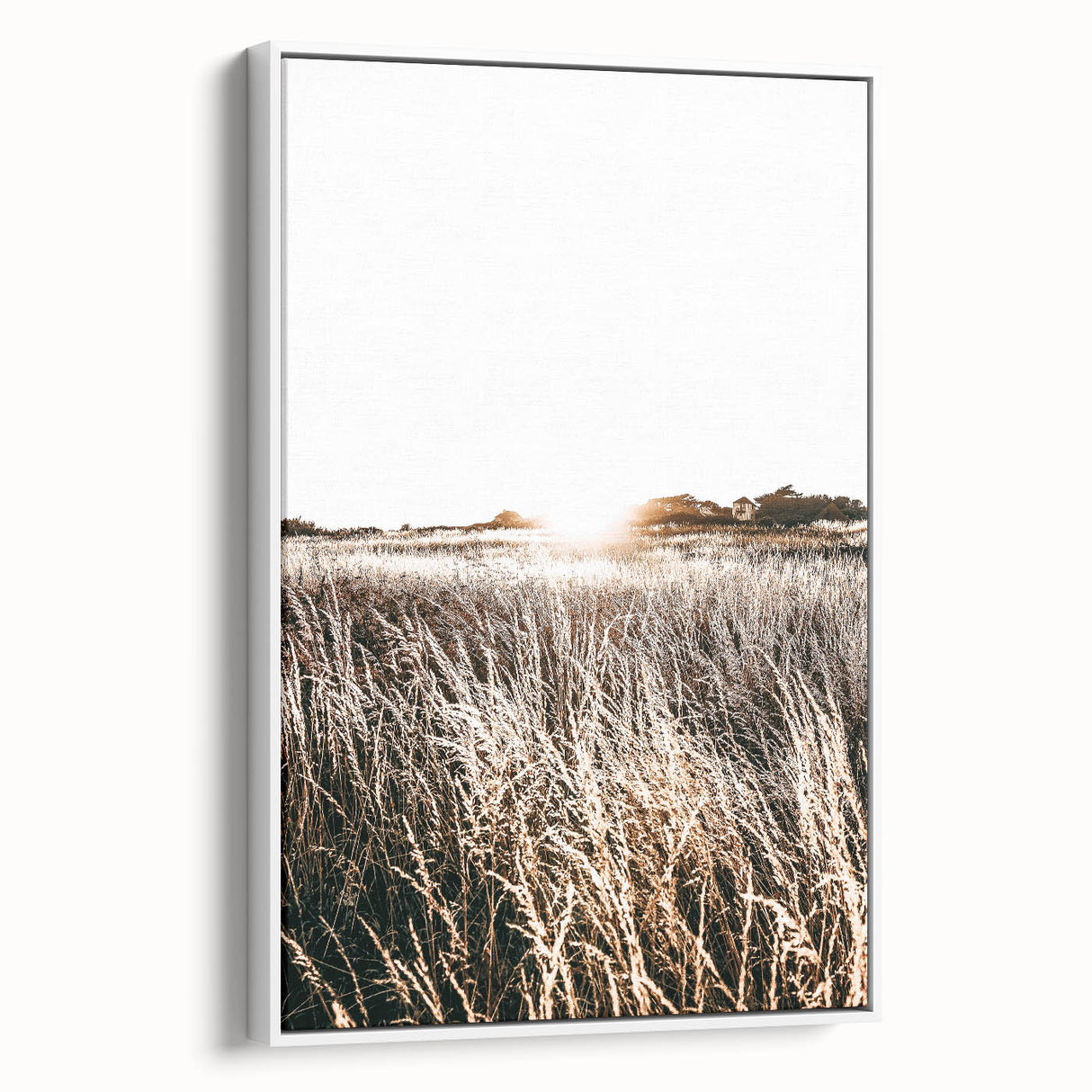 Farmhouse Wall Art: Golden Sunset Over Wheat Field Country Décor