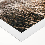 Farmhouse Wall Art: Golden Sunset Over Wheat Field Country Décor