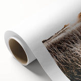 Farmhouse Wall Art: Golden Sunset Over Wheat Field Country Décor