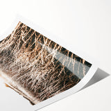 Farmhouse Wall Art: Golden Sunset Over Wheat Field Country Décor