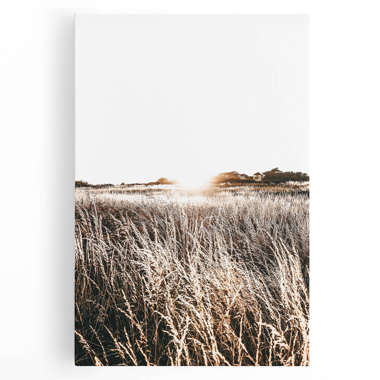 Farmhouse Wall Art: Golden Sunset Over Wheat Field Country Décor