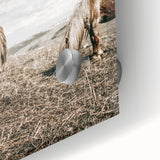 Farmhouse Wall Art: Horses Grazing in Rustic Meadow Country Décor