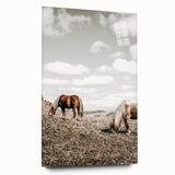 Farmhouse Wall Art: Horses Grazing in Rustic Meadow Country Décor