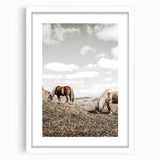 Farmhouse Wall Art: Horses Grazing in Rustic Meadow Country Décor