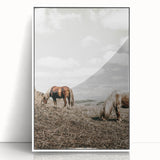 Farmhouse Wall Art: Horses Grazing in Rustic Meadow Country Décor