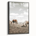 Farmhouse Wall Art: Horses Grazing in Rustic Meadow Country Décor