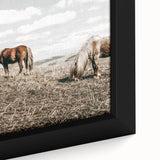 Farmhouse Wall Art: Horses Grazing in Rustic Meadow Country Décor