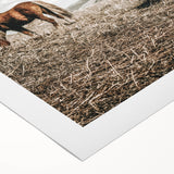 Farmhouse Wall Art: Horses Grazing in Rustic Meadow Country Décor