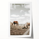 Farmhouse Wall Art: Horses Grazing in Rustic Meadow Country Décor