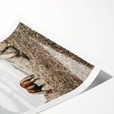 Farmhouse Wall Art: Horses Grazing in Rustic Meadow Country Décor