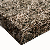 Farmhouse Wall Art: Horses Grazing in Rustic Meadow Country Décor