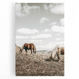 Farmhouse Wall Art: Horses Grazing in Rustic Meadow Country Décor