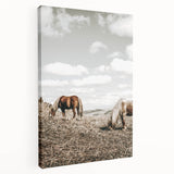 Farmhouse Wall Art: Horses Grazing in Rustic Meadow Country Décor