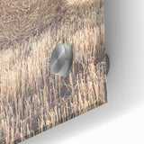 Farmhouse Wall Art: Large Hay Bale in Harvest Field Country Décor