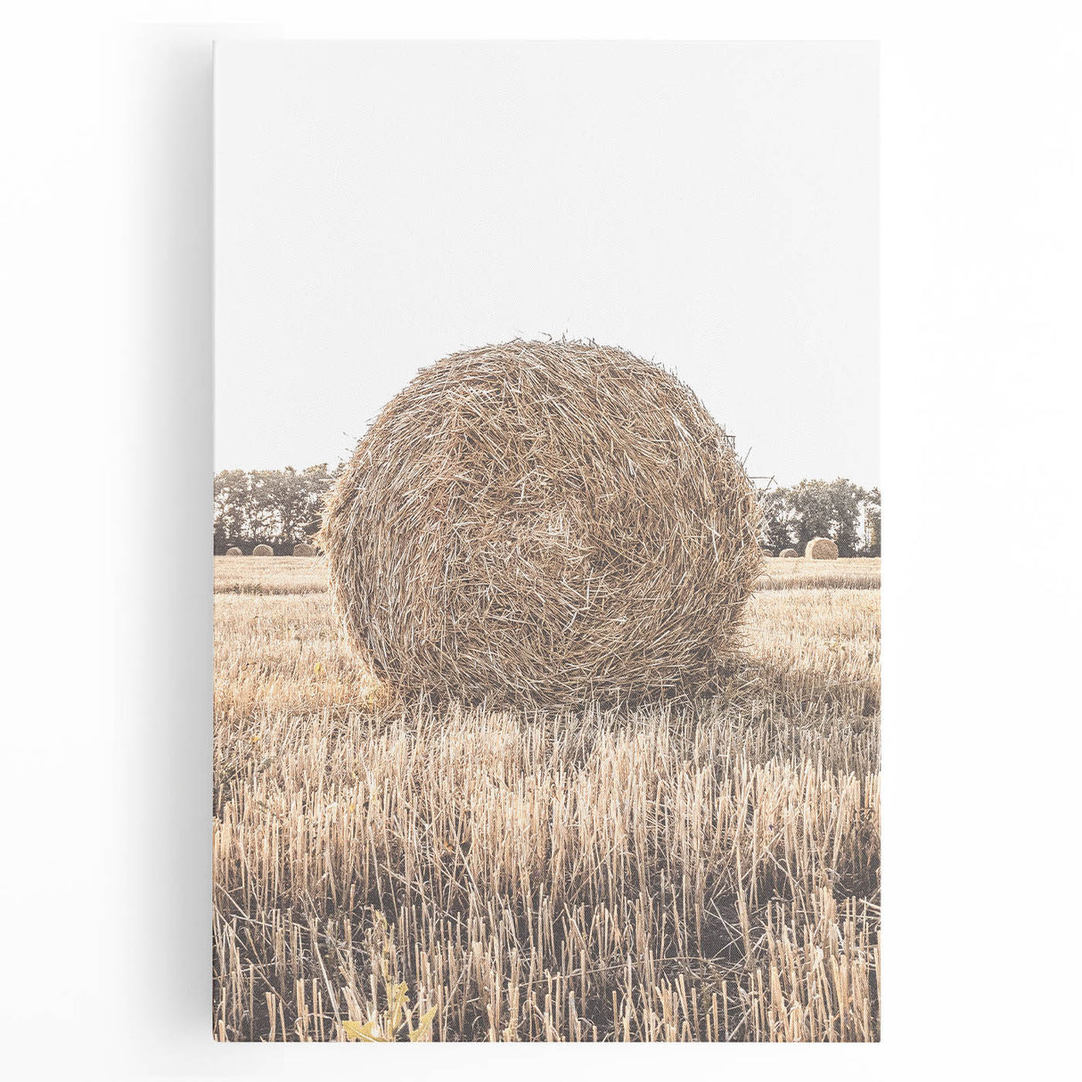 Farmhouse Wall Art: Large Hay Bale in Harvest Field Country Décor