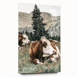 Farmhouse Wall Art: Cows Resting in Mountain Meadow Country Décor