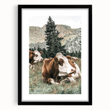 Farmhouse Wall Art: Cows Resting in Mountain Meadow Country Décor