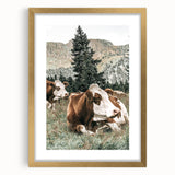 Farmhouse Wall Art: Cows Resting in Mountain Meadow Country Décor