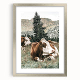 Farmhouse Wall Art: Cows Resting in Mountain Meadow Country Décor