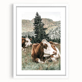 Farmhouse Wall Art: Cows Resting in Mountain Meadow Country Décor