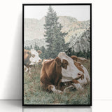 Farmhouse Wall Art: Cows Resting in Mountain Meadow Country Décor