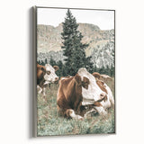 Farmhouse Wall Art: Cows Resting in Mountain Meadow Country Décor