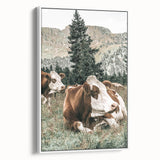 Farmhouse Wall Art: Cows Resting in Mountain Meadow Country Décor
