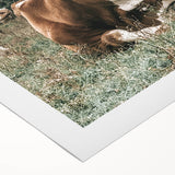 Farmhouse Wall Art: Cows Resting in Mountain Meadow Country Décor
