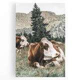 Farmhouse Wall Art: Cows Resting in Mountain Meadow Country Décor