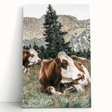 Farmhouse Wall Art: Cows Resting in Mountain Meadow Country Décor