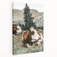 Farmhouse Wall Art: Cows Resting in Mountain Meadow Country Décor