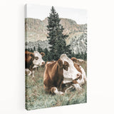 Farmhouse Wall Art: Cows Resting in Mountain Meadow Country Décor