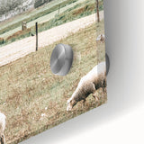 Farmhouse Wall Art: Rustic Country Style with Grazing Sheep Scene