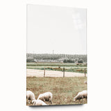 Farmhouse Wall Art: Rustic Country Style with Grazing Sheep Scene