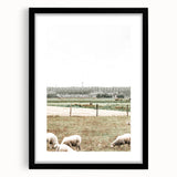 Farmhouse Wall Art: Rustic Country Style with Grazing Sheep Scene