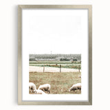 Farmhouse Wall Art: Rustic Country Style with Grazing Sheep Scene