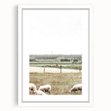 Farmhouse Wall Art: Rustic Country Style with Grazing Sheep Scene