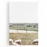 Farmhouse Wall Art: Rustic Country Style with Grazing Sheep Scene