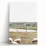 Farmhouse Wall Art: Rustic Country Style with Grazing Sheep Scene
