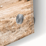 Farmhouse Wall Art: Rolling Hay Fields for Rustic Country Charm